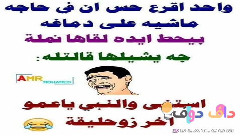 اخر نكتة: ضحك وفكاهة في الحياة اليومية