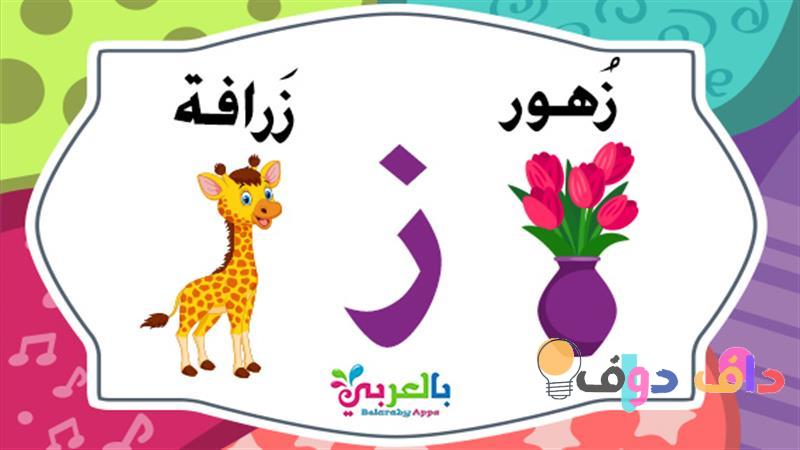 استكشاف دولة بحرف ز كل ما تحتاج معرفته