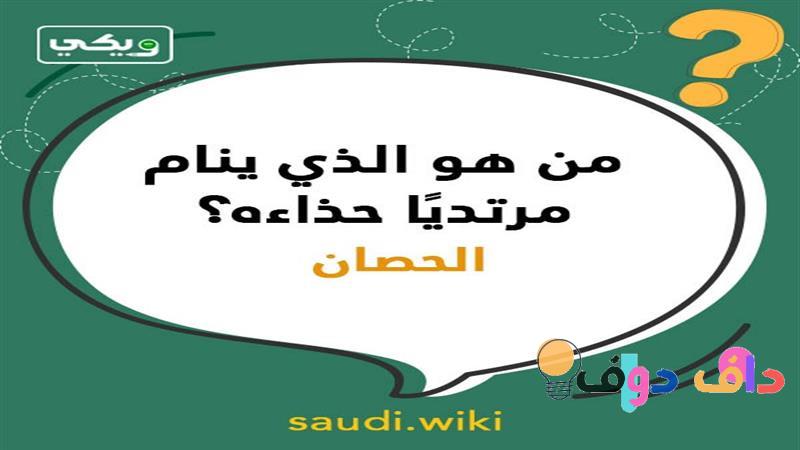 سؤال وجواب عامة: كل ما تحتاج معرفته وأكثر