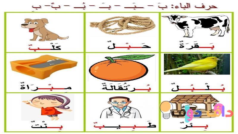 أشياء بحرف الباء: اكتشف مجموعة متنوعة من الكلمات والأشياء المثيرة