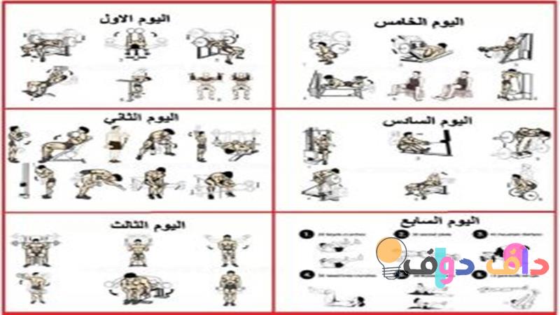 افضل تمارين كمال الاجسام دليلك الشامل لبناء العضلات في السعودية