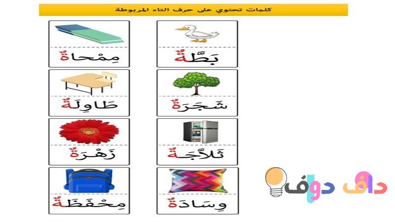 كلمات تنتهي بحرف التاء: اكتشف تنوع اللغة العربية