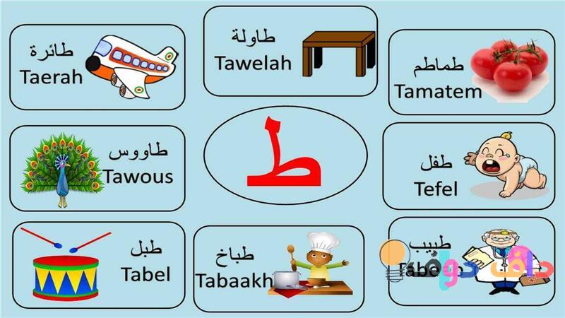 بلاد بحرف الطاء اكتشافات وأسئلة شائعة