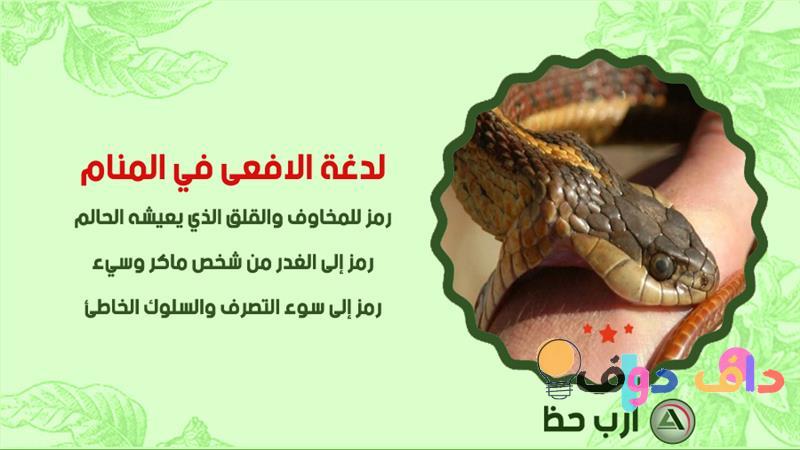 حلم الافعى تفسيره ومعانيه في الثقافة السعودية