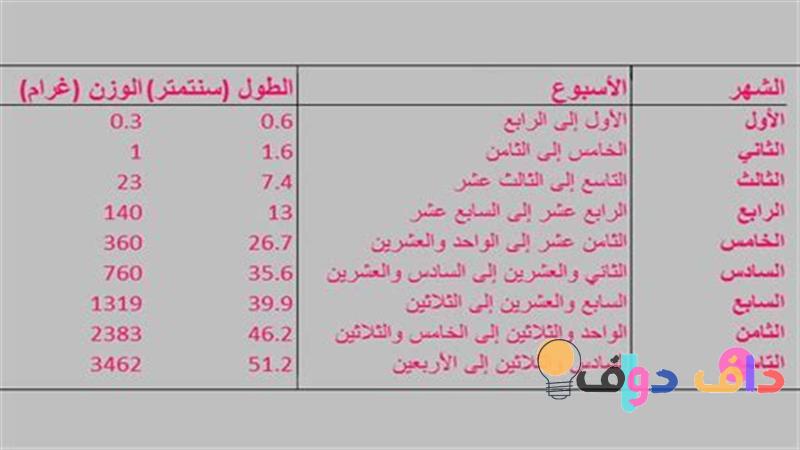 وزن الجنين في الأسبوع 32: كل ما تحتاج معرفته